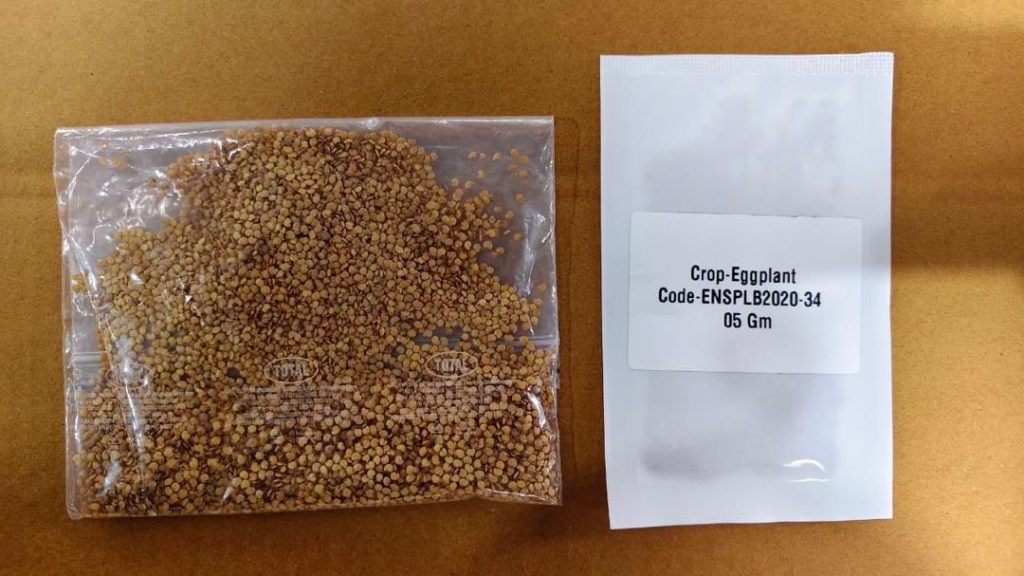 Eggplant Seeds
