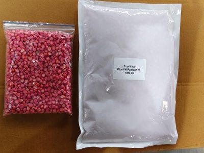 Maize Seeds