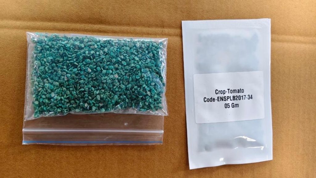 Tomato Seeds