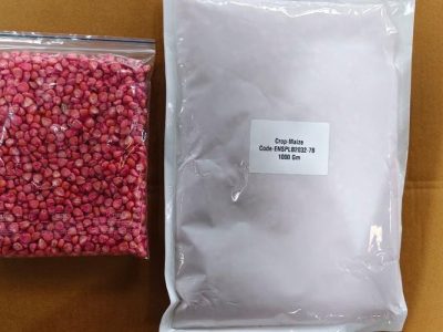 Maize Seeds