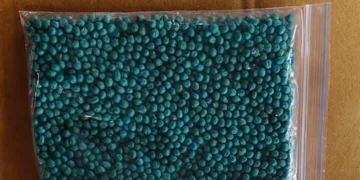 Okra Seeds